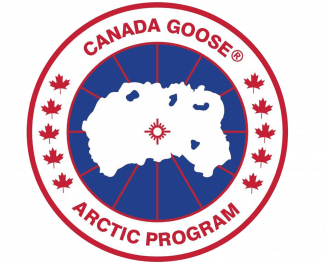 Canada goose